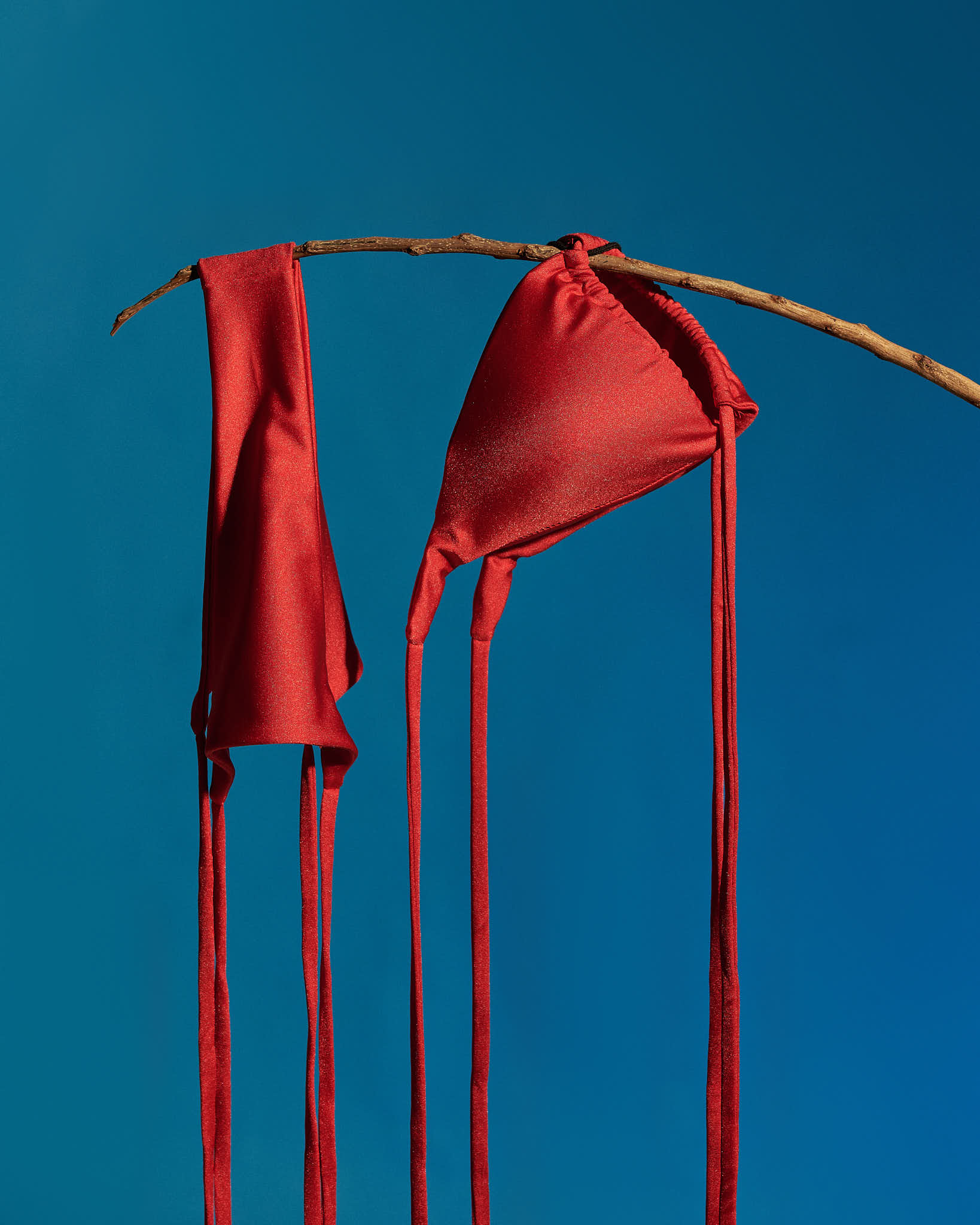 Set Scarlet Allure Bikini - R02 - Image 9